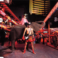 Hamduche_菅野洋子