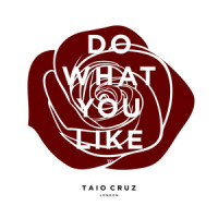Do What You Like_Taio Cruz