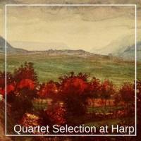 Quartet in D Major, G. 161: 1. Allegro moderato_Sayura Takoshima,Luigi Boccherini