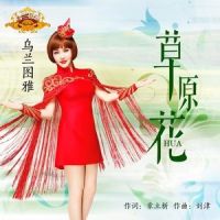 草原花_乌兰图雅