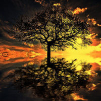 Sunset_Deep Sleep