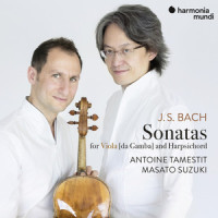 Sonata for Viola da Gamba in D Major, BWV 1028: II. Allegro (Arr. for Viola) (Arr. for Viola)_Antoine Tamestit,Masato Suzuki