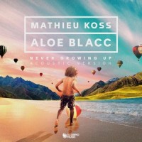 Never Growing Up_Mathieu Koss,Aloe Blacc