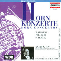 I. Allegro_Andrew Joy,Cologne Radio Symphony Orchestra,Wolf-Dieter Hauschild
