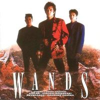 Good Sensation_WANDS
