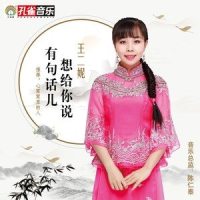 有句话儿想给你说_王二妮