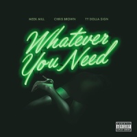 Whatever You Need_Meek Mill,Chris Brown,Ty Dolla $ign