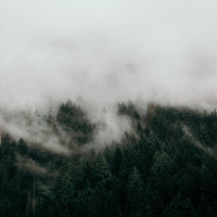 Tranquil Harmony_Sleepy Times,Chakra Meditation Specialists,The Sleep Helpers
