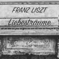 Nocturne No.1, S.541: Hohe Liebe_Gustaf Oloveson