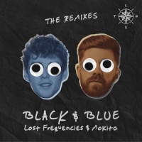 Black & Blue_Lost Frequencies,Mokita