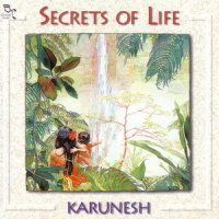 Eagle's Flight_Karunesh