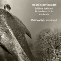 Variation 10 (A小调咏叹调修订本,作品989:变奏曲10)_Matthew Halls