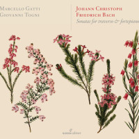 Flute Sonata No. 1 in D Minor, W. VIII/3, B. 15: III. Allegro_Marcello Gatti