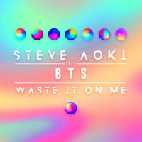 Waste It On Me_Steve Aoki,BTS