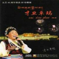 杜鹃啊 杜鹃_才旦卓玛