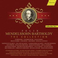 Ib. Sinfonia - Allegretto un poco agitato_Heidelberger Sinfoniker,Thomas Fey