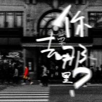 你要去哪里_李维