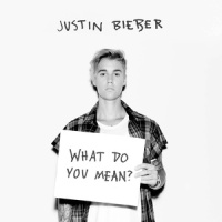 What Do You Mean?_LEONAKA,Justin Bieber