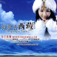 今夜的草原_乌兰托娅