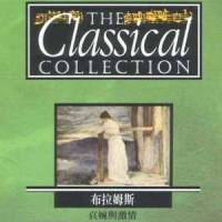 No. 6 in D Major - Vivace (第6首 D大调 - 活泼的) (arranged for orchestra)_Classical Artists