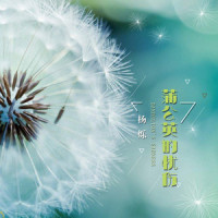 蒲公英的忧伤_杨烁