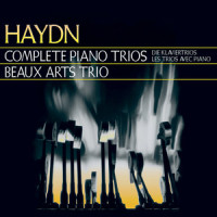 I. Allegro moderato (第一乐章 有节制的快板)_Beaux Arts Trio