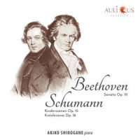 Kinderszenen Op. 15: No. 10 in G-Sharp Minor, Fast Zu Ernst_Akiko Shirogane,Robert Schumann