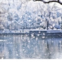 失约的雪_言和