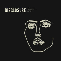 Tenderly_Disclosure