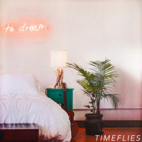 Fire_Timeflies,Cal Shapiro,Rob Resnick,Shy Martin,Nirob Islam,Littens