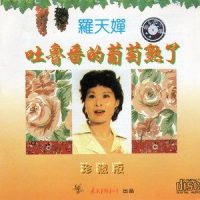 红莓花儿开_董文华