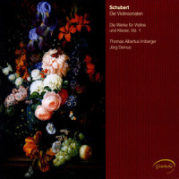 Violin Sonata (Sonatina) in D Major, Op. 137, No. 1, D. 384: II. Andante_Thomas Albertus Irnberger