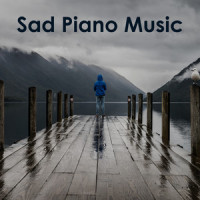 Chopin: 24 Préludes, Op. 28 - No. 4 in E Minor: Largo (Live)_赵成珍