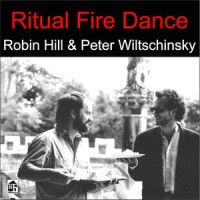 Keyboard Sonata in D Minor, K. 141 (Arr. for Two Guitars)_Robin Hill,Peter Wiltschinsky
