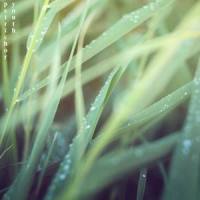Petrichor_Jasper,Martin Arteta,11:11 Music Group