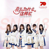 花儿为什么这样红_SNH48