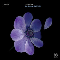 IV. Allegro assai_Zefiro,Alfredo Bernardini,Jan Dismas Zelenka