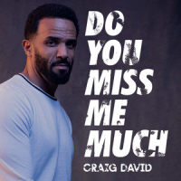 Do You Miss Me Much_Craig David
