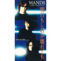 Soldier_WANDS