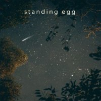 Starry Night_Standing Egg