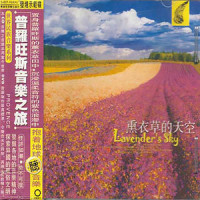 Sunshining on Provence_贵族乐团
