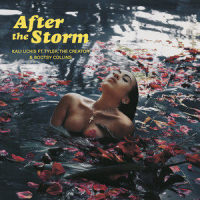 After The Storm_Kali Uchis,Tyler, The Creator,Bootsy Collins