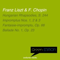 Impromptu No. 1 in A-Flat Major, Op. 29 (降A大调第1号即兴曲,作品29)_Dubravka Tomšič,Franz Liszt