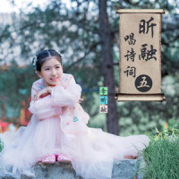 梅花_李昕融
