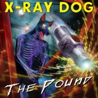 Shart Your Pants_X-Ray Dog
