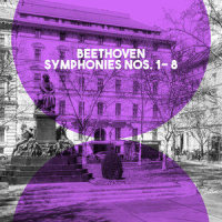 Symphony No. 1 in C Major, Op. 21: I. Adagio molto - Allegro con brio_The London Symphony Orchestra,Ludwig van Beethoven,Josef Krips