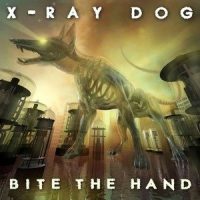 Open Wings_X-Ray Dog