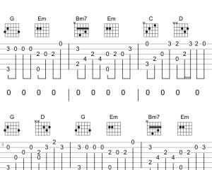 一天到晚游泳的鱼