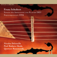 Sonata for Arpeggione and Pianoforte in A Minor, D. 821: II. Adagio_Nicolas Deletaille,Paul Badura-Skoda,Franz Schubert