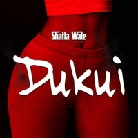 Dukui_Shatta Wale